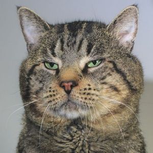 Meet your Posher, Zane